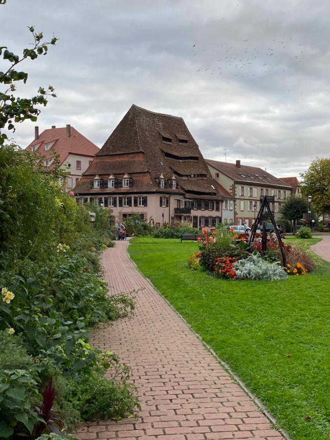 Logement Tout Confort 3 - Wifi - Parking Wissembourg Bagian luar foto